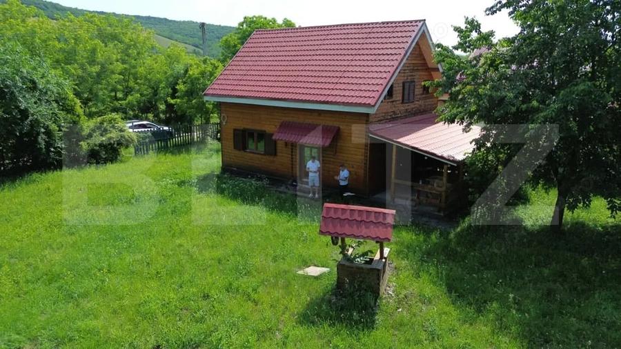 Cabana de poveste pe malul raului | Refugiu in natura, teren generos - 13
