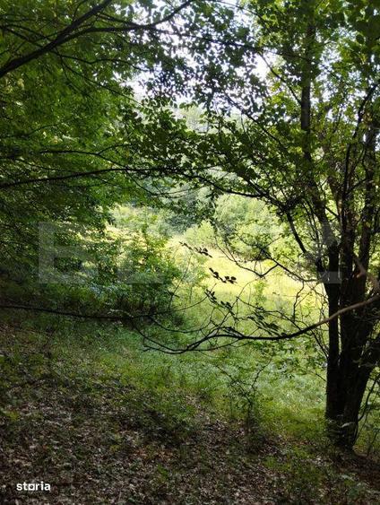 Teren generos de 70290 mp, 5045 mp intravilan, Poiana Ampoiului, Metes - 3