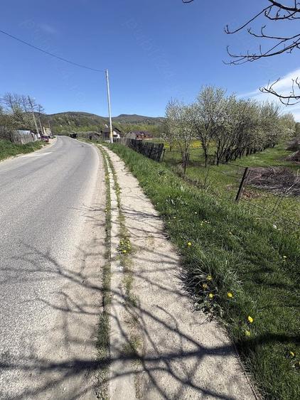 Teren 2000mp Strada 22 Decembrie Moinesti (vasiesti) - 1