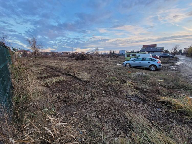 Proiect cu autorizatie 21 case, Sos Cernica, Lebada Lac, 5036 mp teren - 8