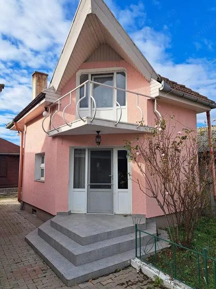OFERTA in Bacia, Hunedoara ! Proprietate 2 case + Cabana + Livada - 2