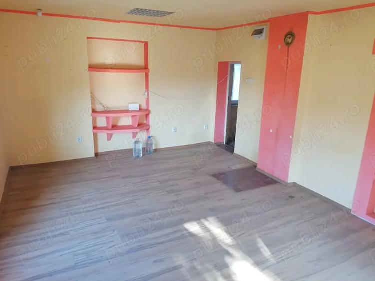 Casa cu teren de vanzare - sat PE?TEANA - 2