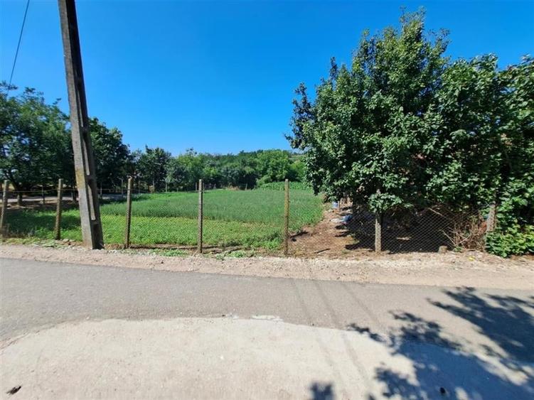 RECO casa dubla Cadea - 17