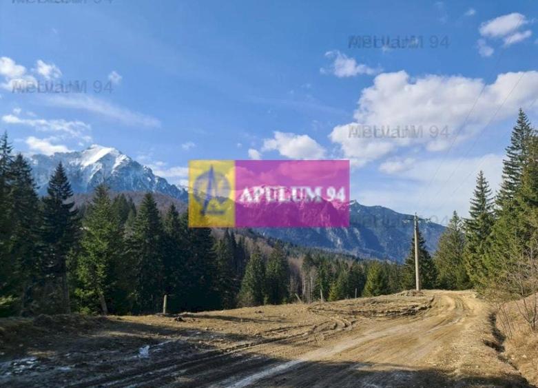 Teren de v&acirc;nzare &icirc;n Predeal - Zona Forban - 3