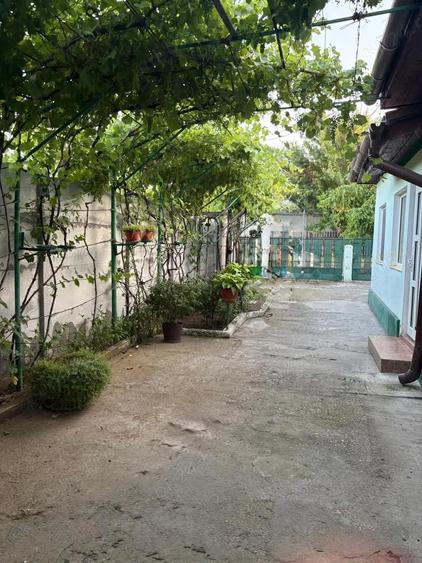 casa de vanzare Alexandria - 1