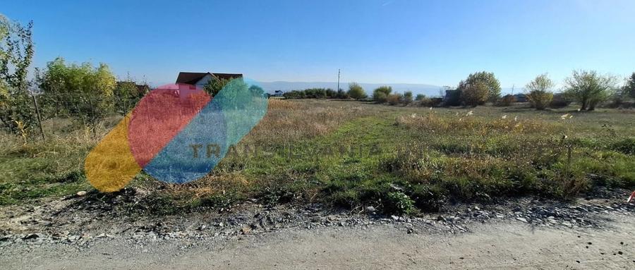 Teren intravilan cart Dambul Rotund Cluj-Napoca 3500mp - 1