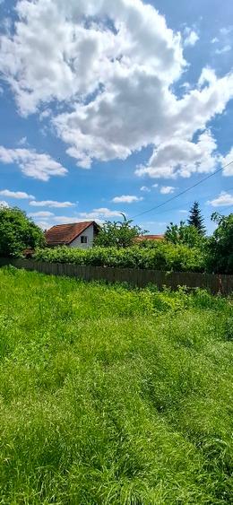 Proprietar vând casă în Valea Lupului – poziție excelentă, grădină superbă și po - 10