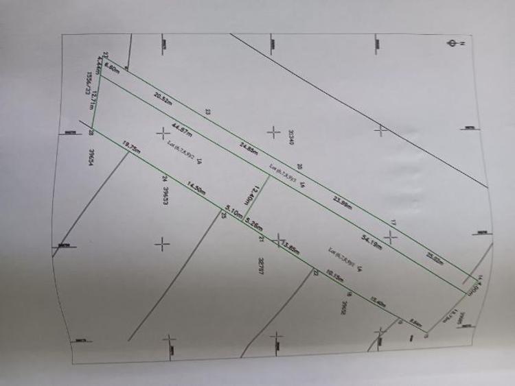 PROPRIETAR ,teren dezmembrabil in Varlaam , Adunatii Copaceni , Giurgiu - 9