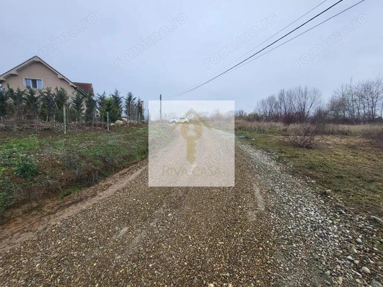 Teren extravilan Paleu - 2