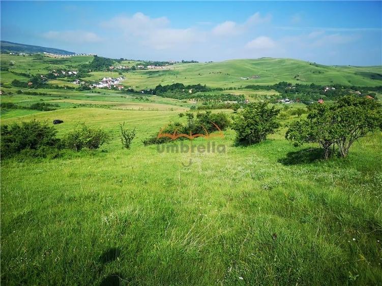 Teren de  vanzare in Zona Gheorgheni 5.801/?/18 /? - 1