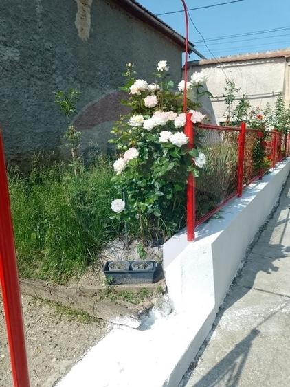 Casa cu 4 camere si gradina, Dacia 70 km de Brasov! - 2