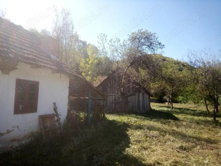 Vand Casa Halmagiu Sat Tisa - 5