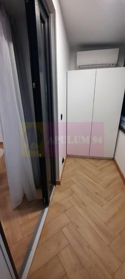 Apartament de 2 camere Corneliu Coposu, prima inchiriere - 9