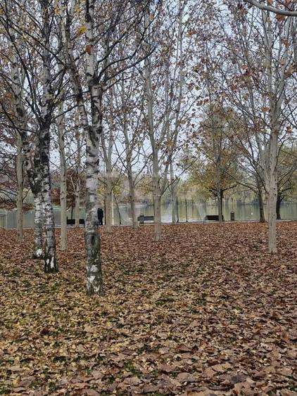 Apartament cu 2 camere la 12 minute de metrourile Dristor 1 si Grigorescu - 28