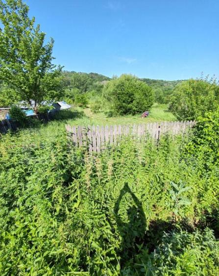 Teren intravilan 4.183 mp Cobia, sat Mislea ie?ire - 8