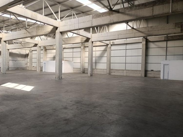 Zona Industriala-hala 1400 mp - 4