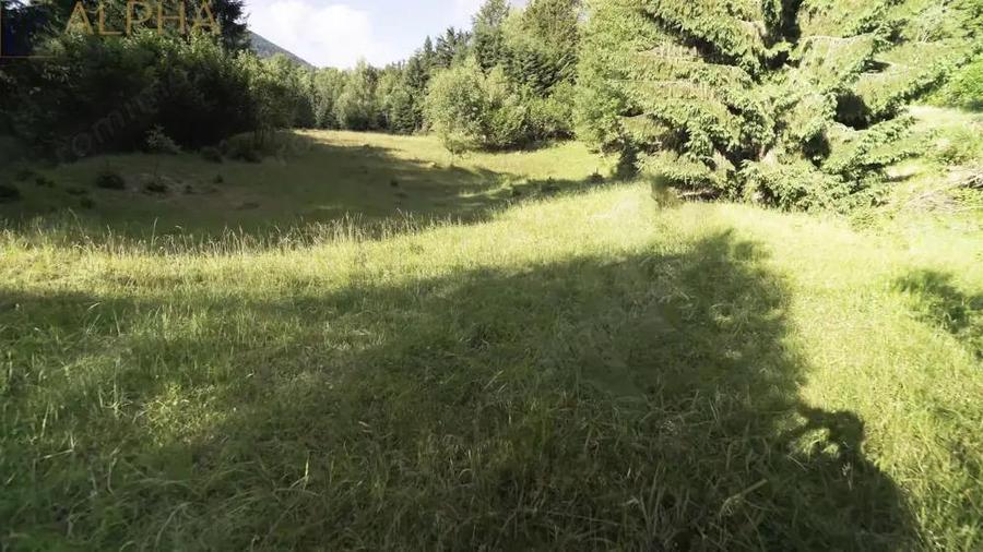 Teren Intravilan de 1.7 Hectare in Colibita - 5