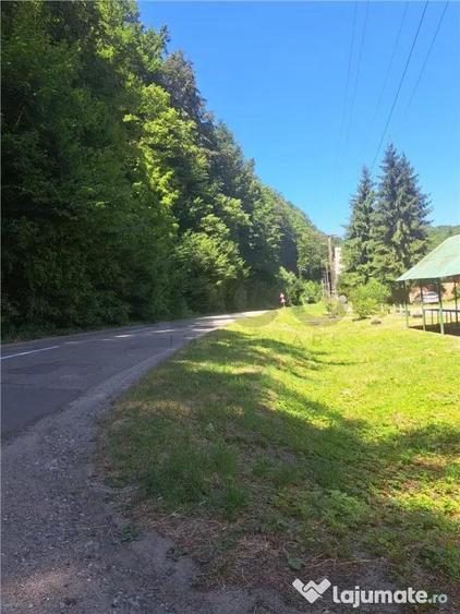 RECO Apartament cu doua camere in Padurea Neagra - 2