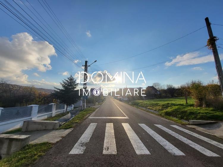 Teren 11.939 mp Balanesti – ideal rezidential/comercial - 6