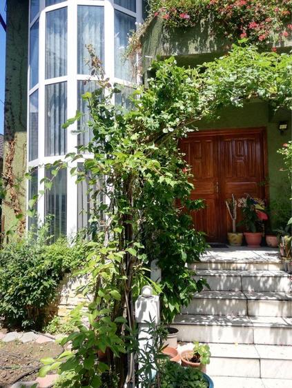 Proprietate deosebita, vila, zona Gradina Publica. - 7