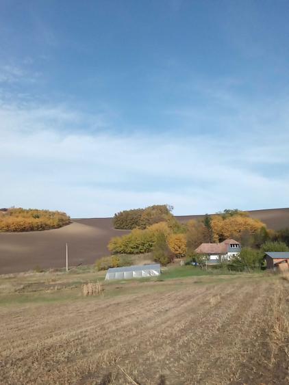 o casa rurala si teren de vanzare razoare - 7