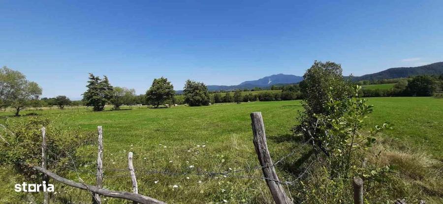 Teren BRAN SOHODOL 9350 mp. - 4