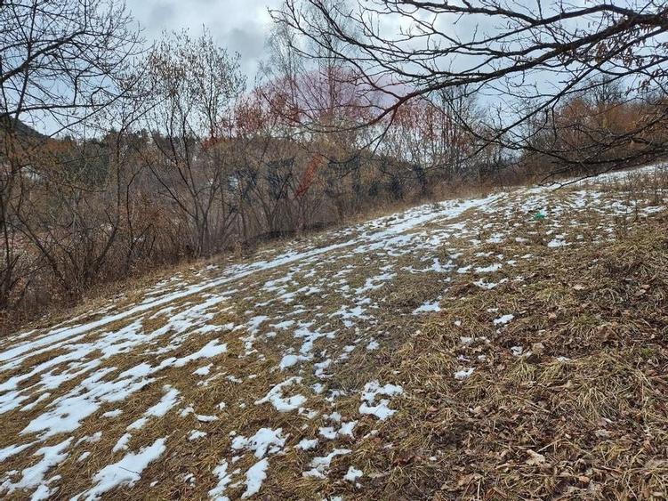 Teren intravilan 1,577mp Brasov / Schei/  constructii fara fundatie! - 7