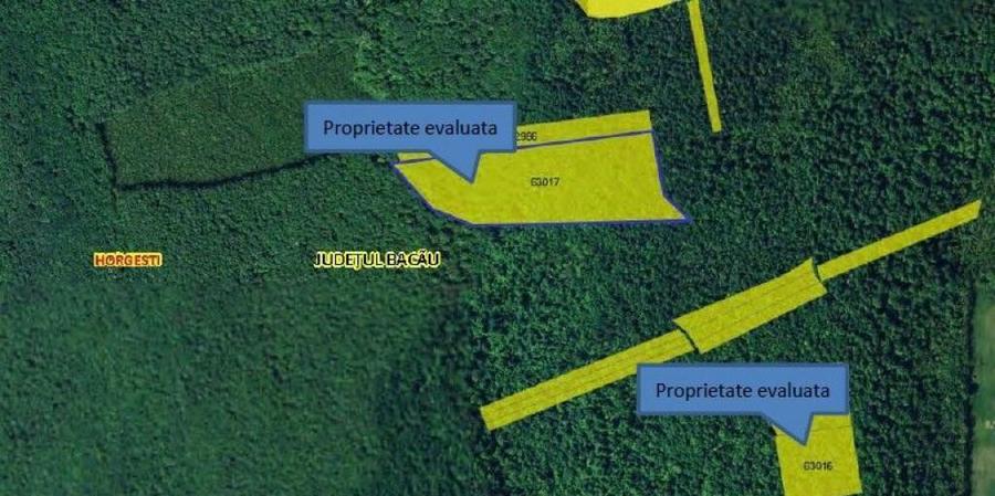 Teren extravilan padure, cota parte de 1/48 Horgesti, ID:... - 5