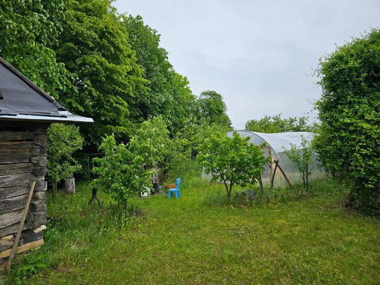 Carbunari,50 ari teren - 6