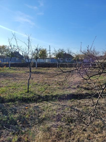 Vând teren intravilan suprafață 1414mp în Sânpetru Mare, jud.Timiș .  - 3