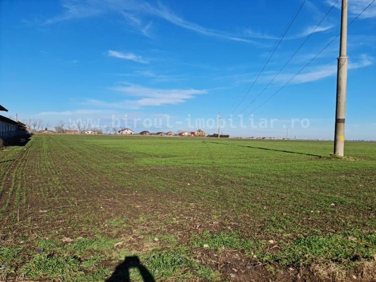 3487mp Teren Intravilan pentru Casă/Vilă sau Alte Proiecte, comision 0, Cumpana - 3