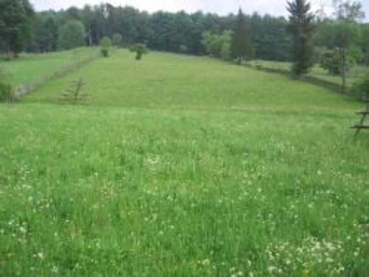 Teren intravilan situat in Traiteni,Valea Doftanei - 1