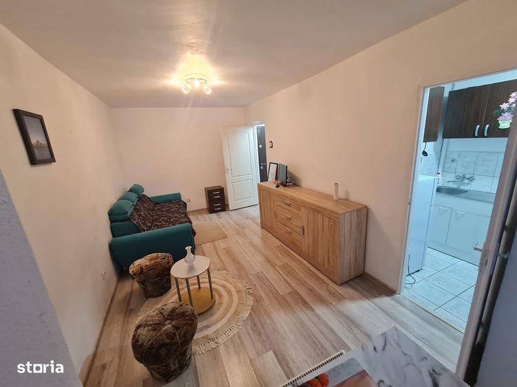 Inchitiez Garsoniera Confort 1 Micalaca Cenad,proaspat Zugravita Eta3 - 3