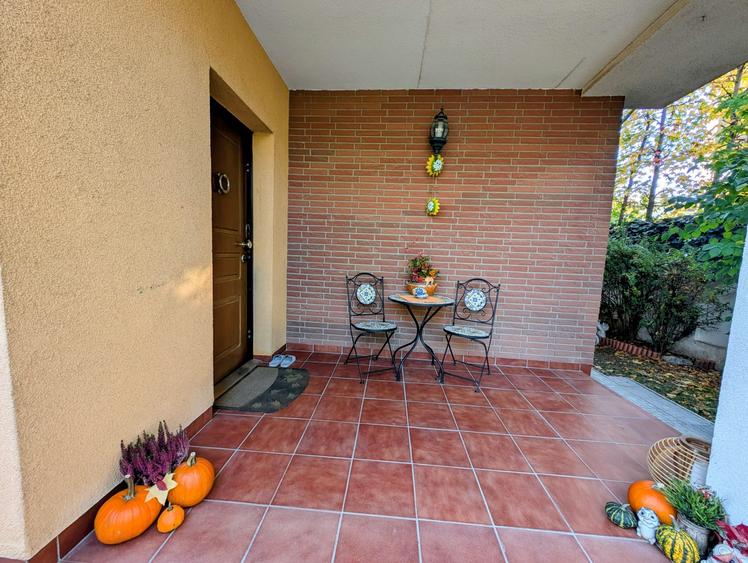 Jiului-Coralilor-Damaroaia,eleganta,robusta,garaj,curte intima,vegetatie matura - 7