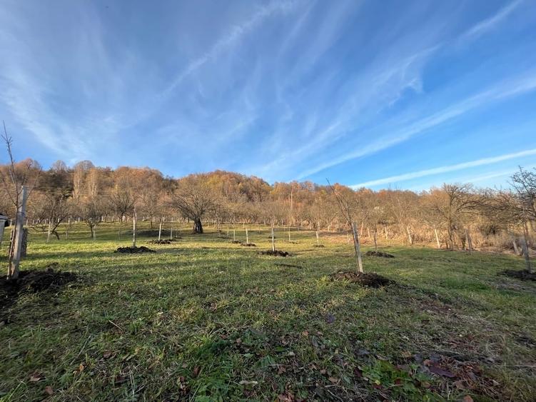 Vila constructie si livada - 1