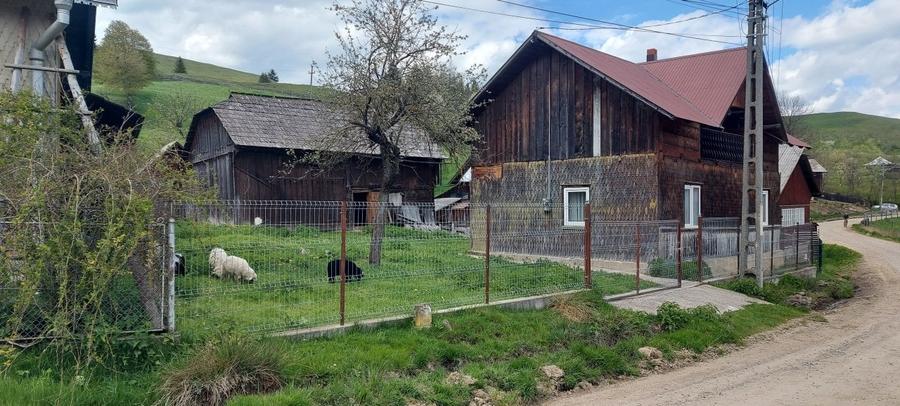 Spre vanzare proprietate Manastirea Humorului - Suceava - Bucovina - 2