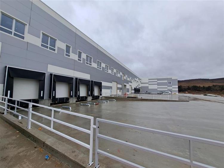 Hala de 1300 mp, Prima Inchiriere, situata in zona DN1, E60! - 6