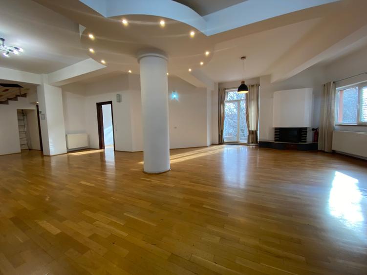 Great duplex penthouse apartment for rent-Residential/Office - 1