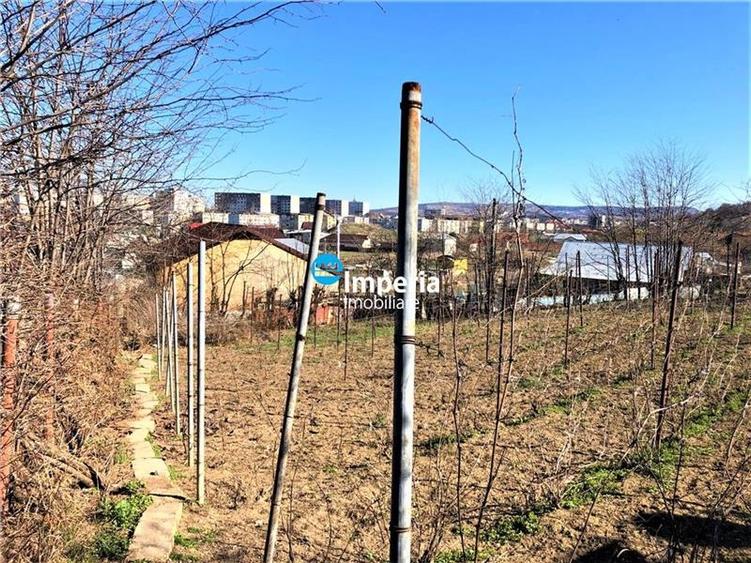 Teren de vanzare, sup 1500 mp, zona Galata - Cicoarei - 7