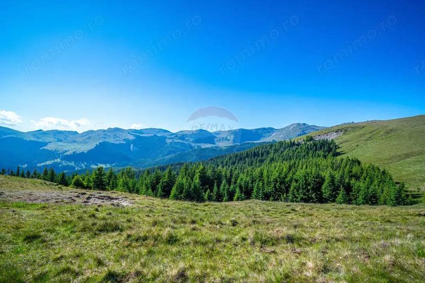 Teren intravilan Transbucegi / Oportunitate de dezvoltare Transbucegi - 5