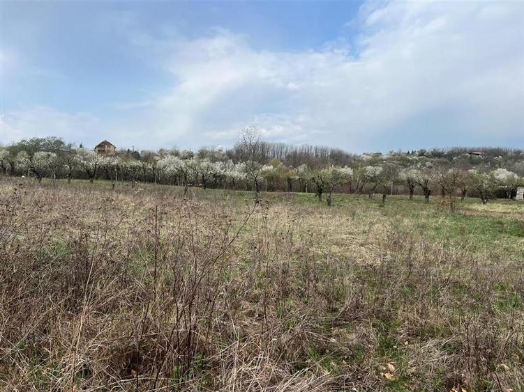 RECO Teren Saldabagiu de Munte, la 5 minute de spitalul TBC - 1