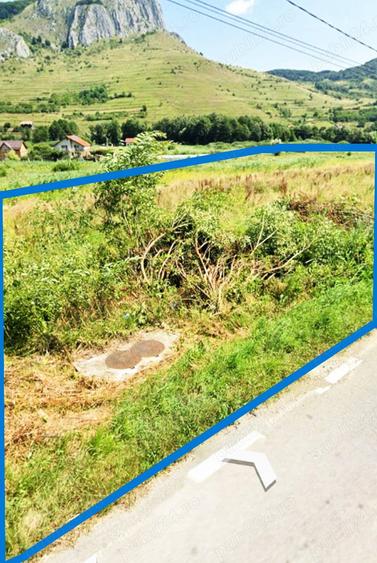 Vand teren sat Valisoara,Jud Alba, (langa Cheile Valisoarei) - 4