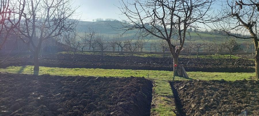 Teren intravilan 650mp - 4