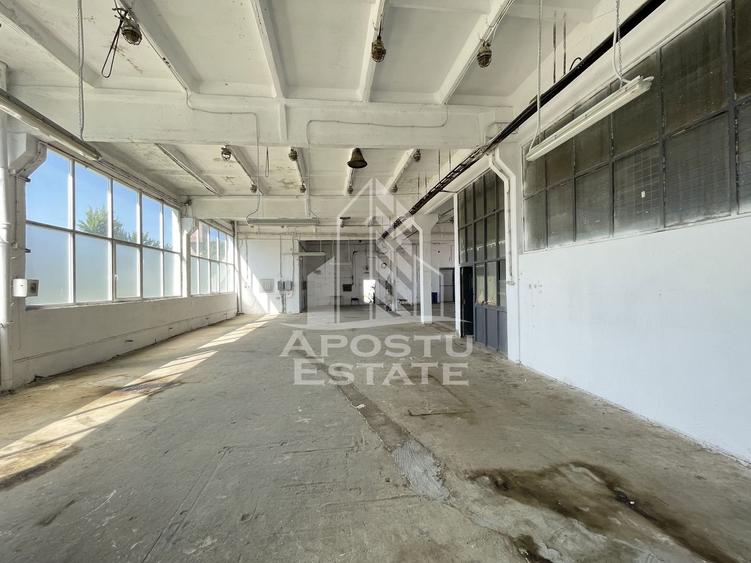 Hala depozitare sau productie, 470 mp, Zona Buziasului - 5