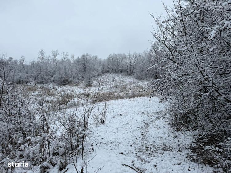 Provi?a de Jos - teren 3824mp - 18 Euro/mp Neg. - 1