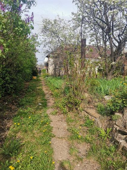 Vand casa batraneasca - 3