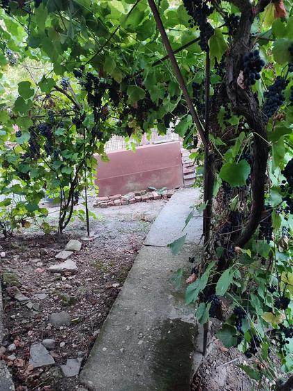 Casă cu 3 camere cu Teren 840 Mp în Daia