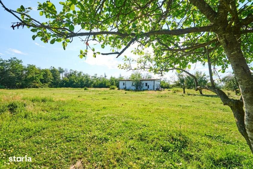 Casă în Calotești