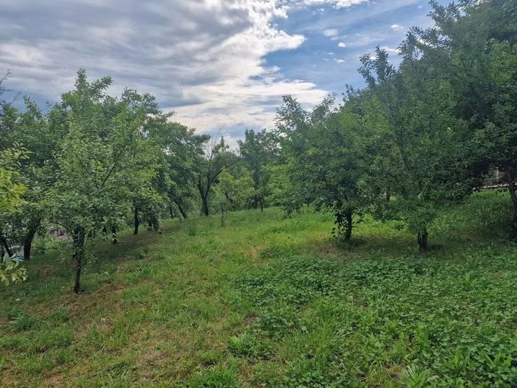 Teren de 1400 mp, în Albota