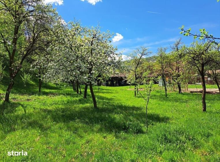 Casă cu 4 camere în Costești (Albac)